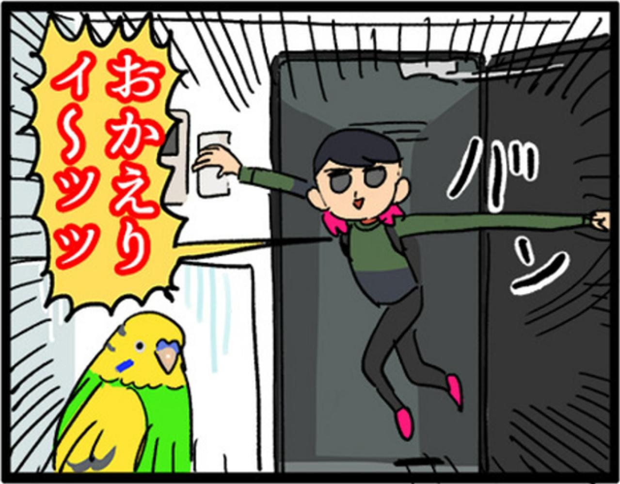 【鳥マンガ＃3】塩対応なインコ、デレるインコ。ホームカメラで見てみると！？（画像6）