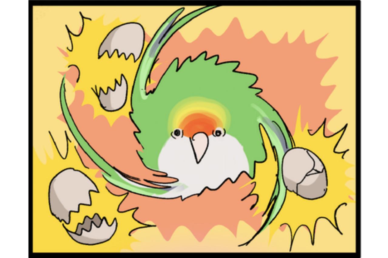 【鳥マンガ＃2】全てを破壊するインコとは！？インコのおしゃべり