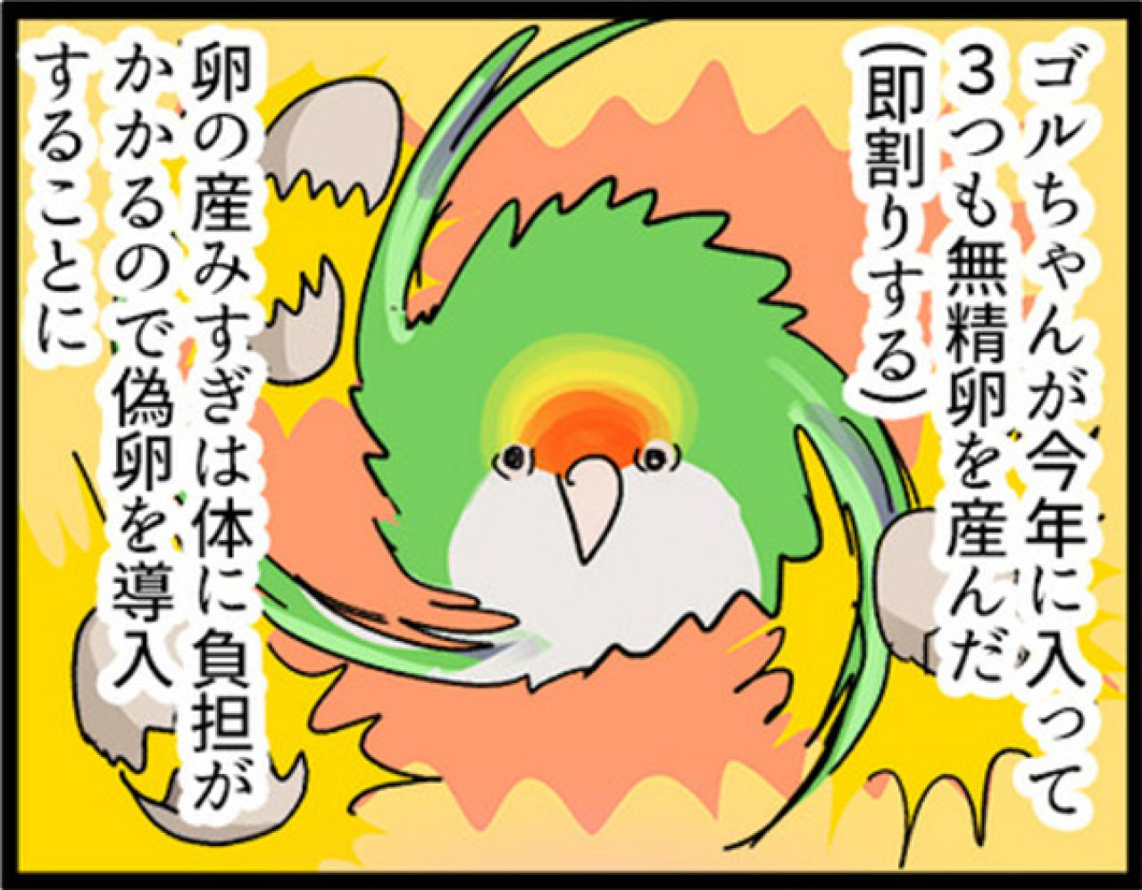 【鳥マンガ＃2】全てを破壊するインコとは！？インコのおしゃべり（画像3）