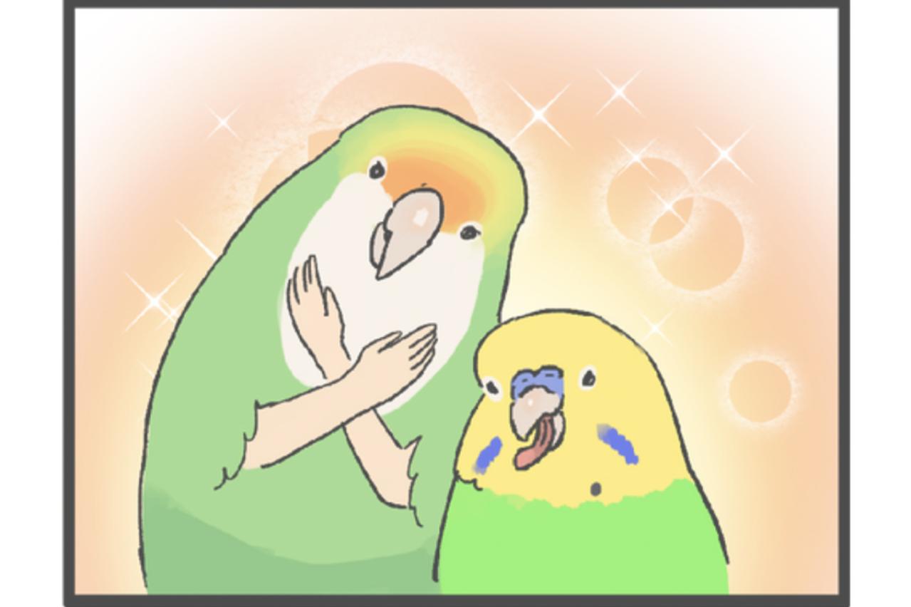 【鳥マンガ＃4】インコの尊すぎる愛、飼い主の底なしの愛