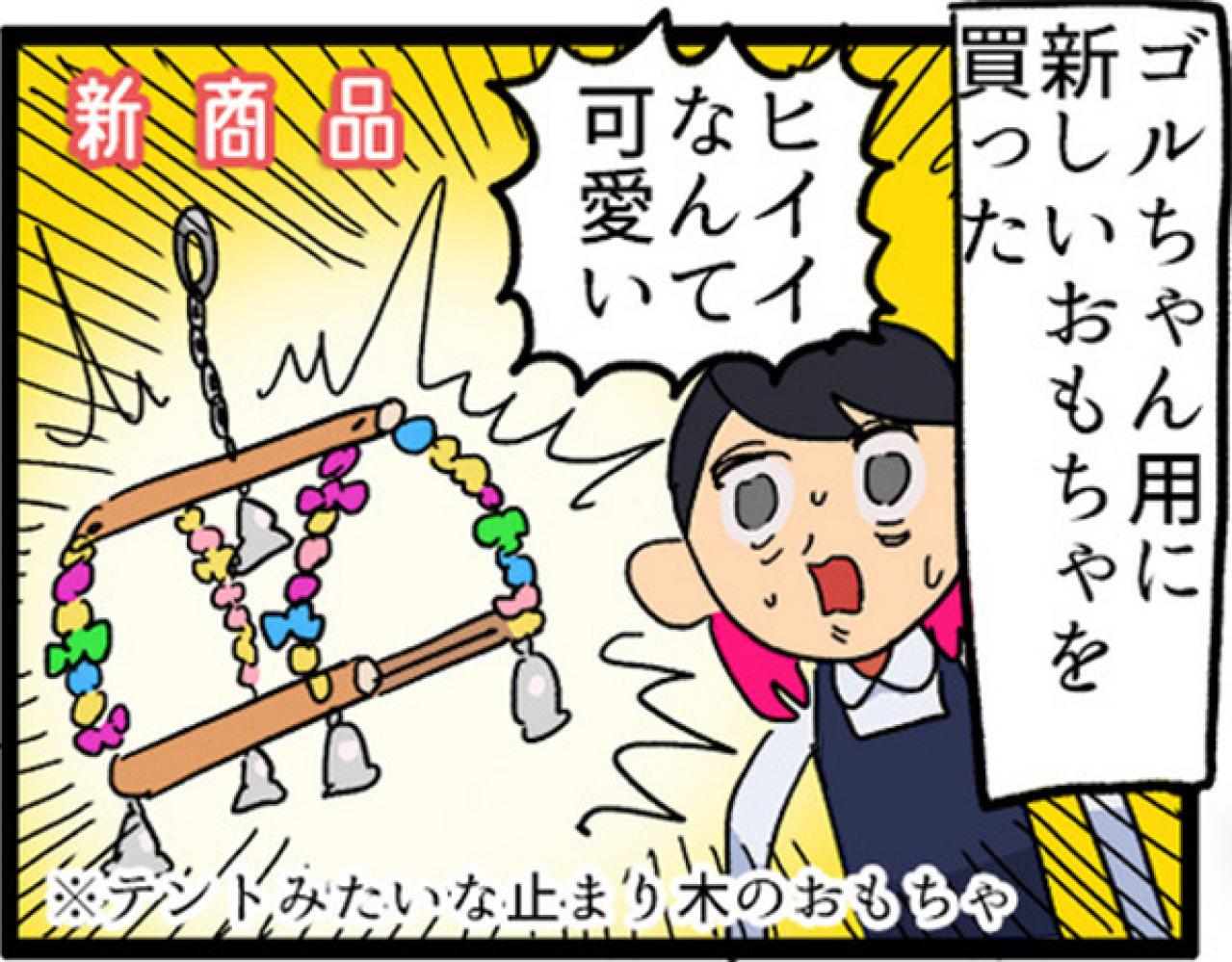 【鳥マンガ＃4】インコの尊すぎる愛、飼い主の底なしの愛（画像10）