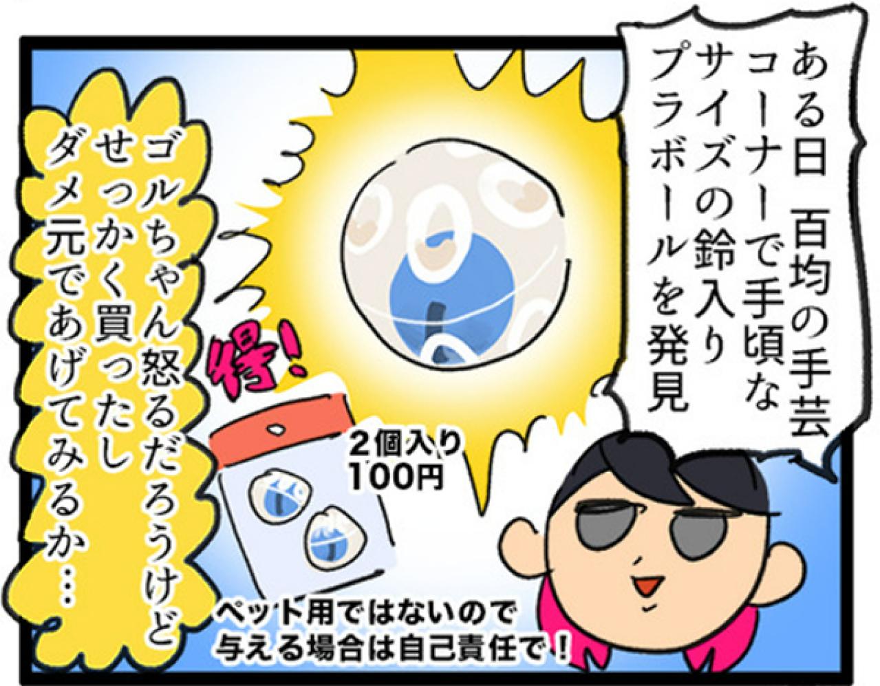 【鳥マンガ＃6】敵には容赦しないインコ。「飼い主はつらいよ」（画像6）