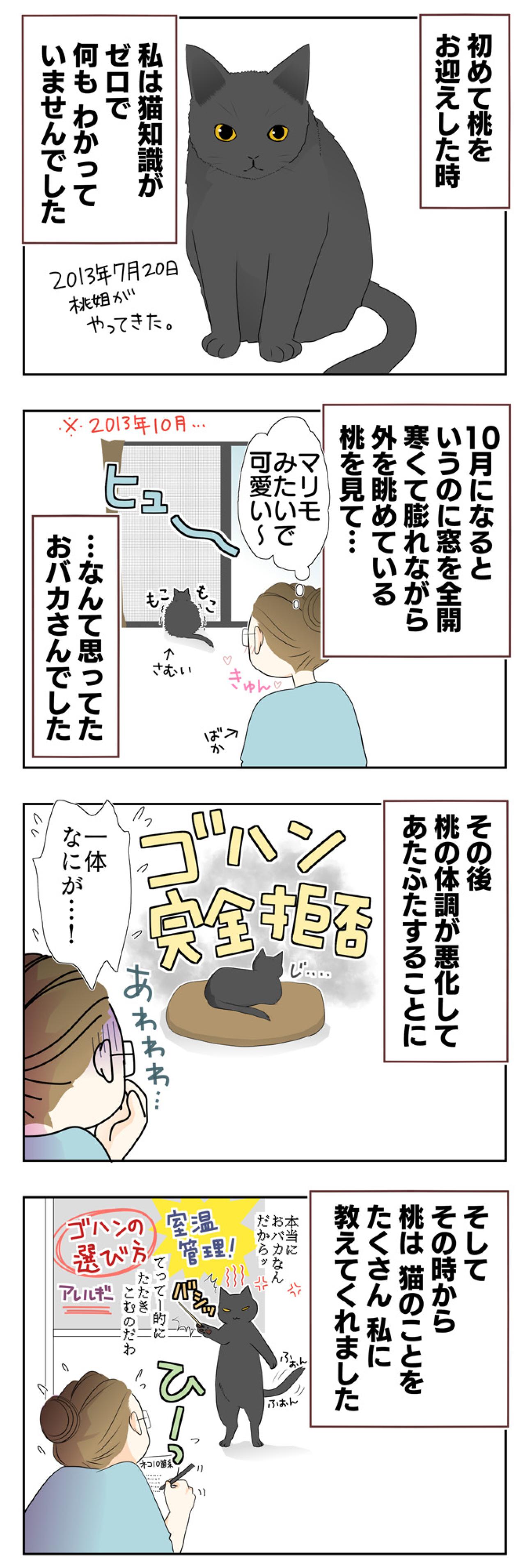 【老猫マンガ】初めて猫を迎えた時は…18歳の元保護猫・桃姐［＃5］（画像2）
