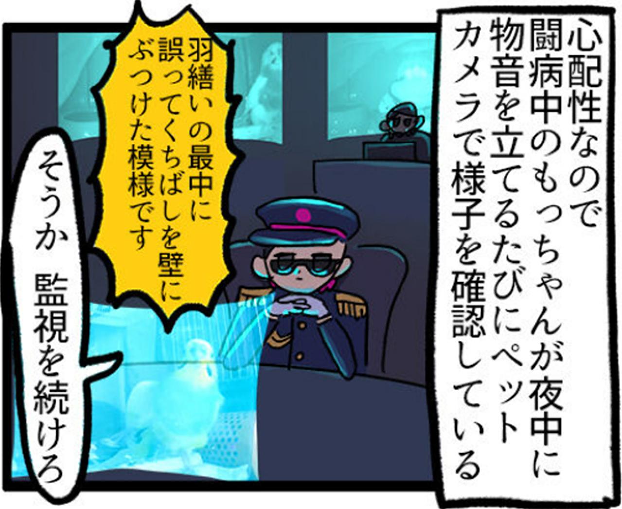 【鳥マンガ＃4】インコの尊すぎる愛、飼い主の底なしの愛（画像4）