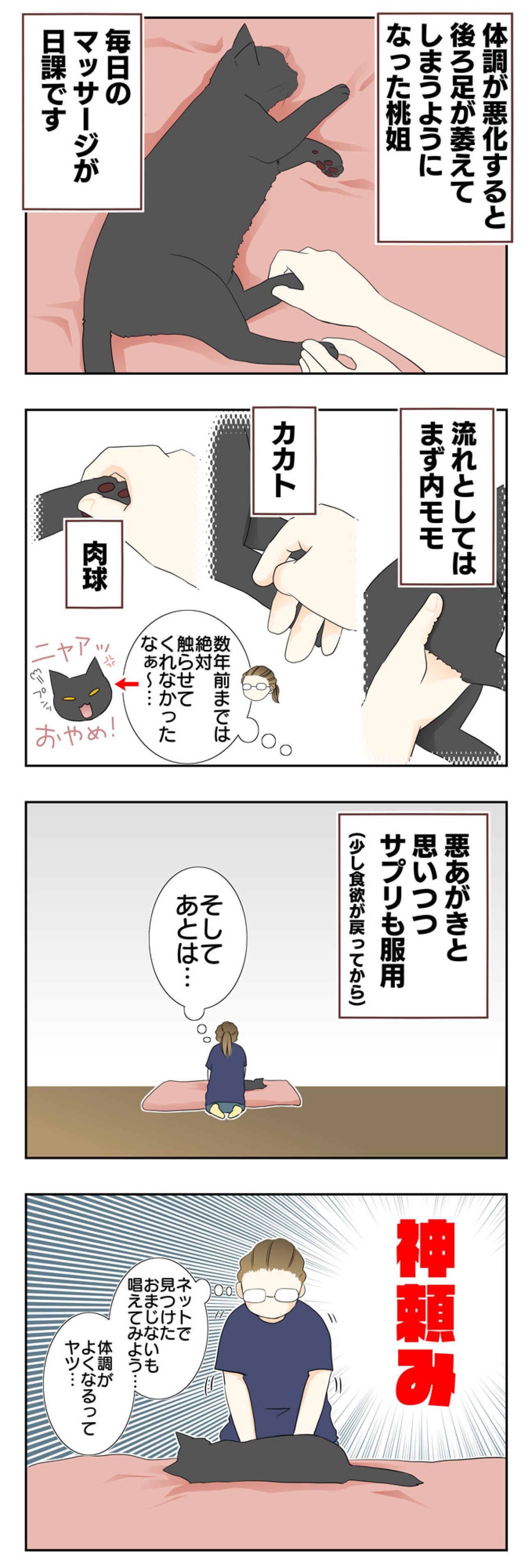 【マンガ・老猫日誌 ＃6】萎えた足をマッサージすると…19歳の元保護猫・桃姐（画像2）