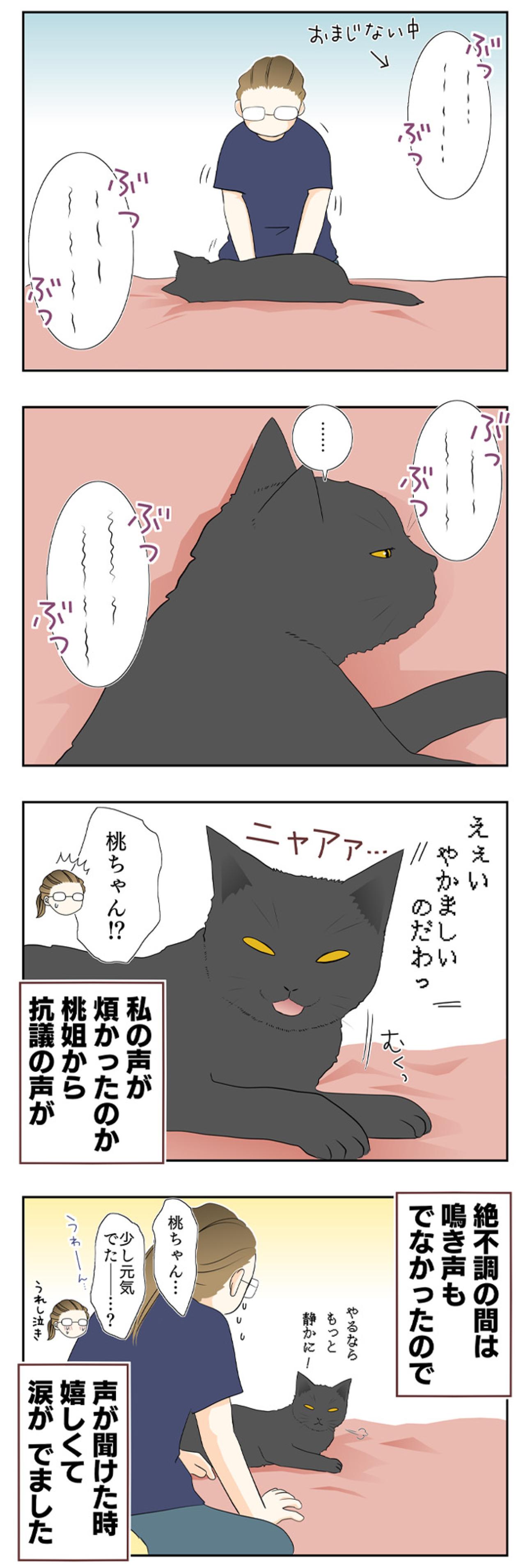 【マンガ・老猫日誌 ＃6】萎えた足をマッサージすると…19歳の元保護猫・桃姐（画像3）