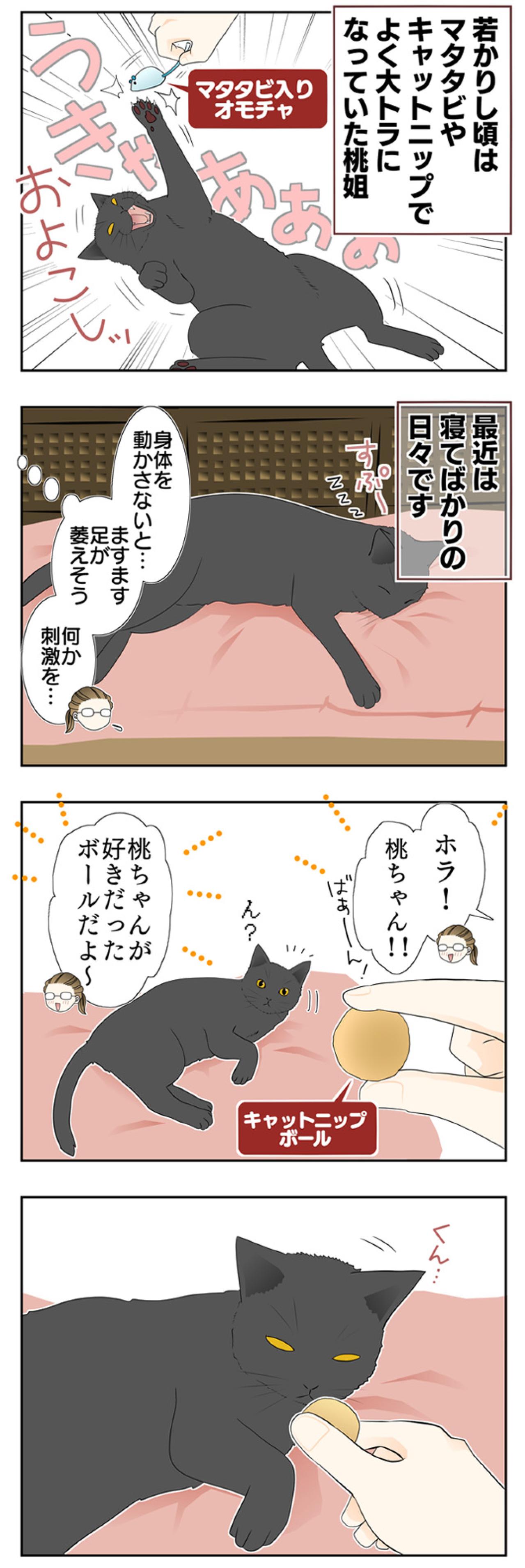 【老猫マンガ】大トラにならなくても…18歳の元保護猫・桃姐［＃7］（画像2）