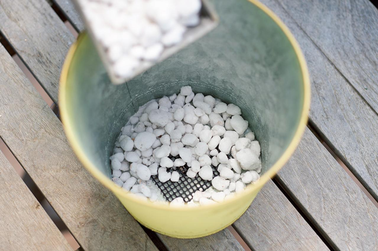 【ガーデニング】春らしい「イエローの花の寄せ植え」を人気ガーデナー・土谷ますみさんが伝授（画像8）