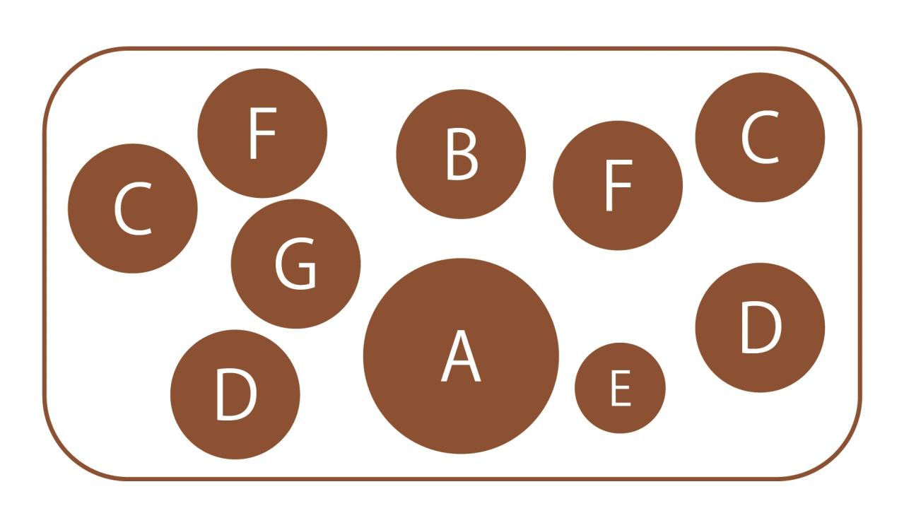 【ガーデニング】この春に作りたい「レッド＆ブラウンの花の寄せ植え」カラーリーフを使って上品シックな印象に（画像8）