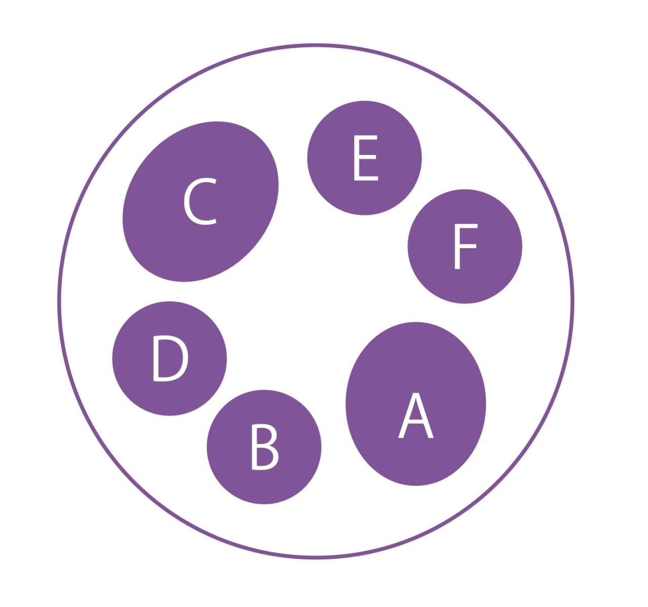 【ガーデニング】失敗知らずの色合わせとは？「ホワイト＆パープルの花の寄せ植え」こんもりまとめて可愛く（画像8）