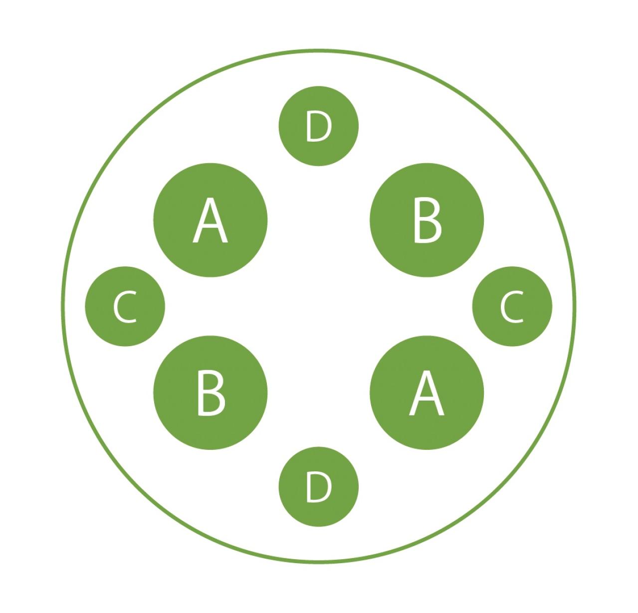 【ガーデニング】失敗知らずの色合わせとは？「ホワイト＆パープルの花の寄せ植え」こんもりまとめて可愛く（画像5）