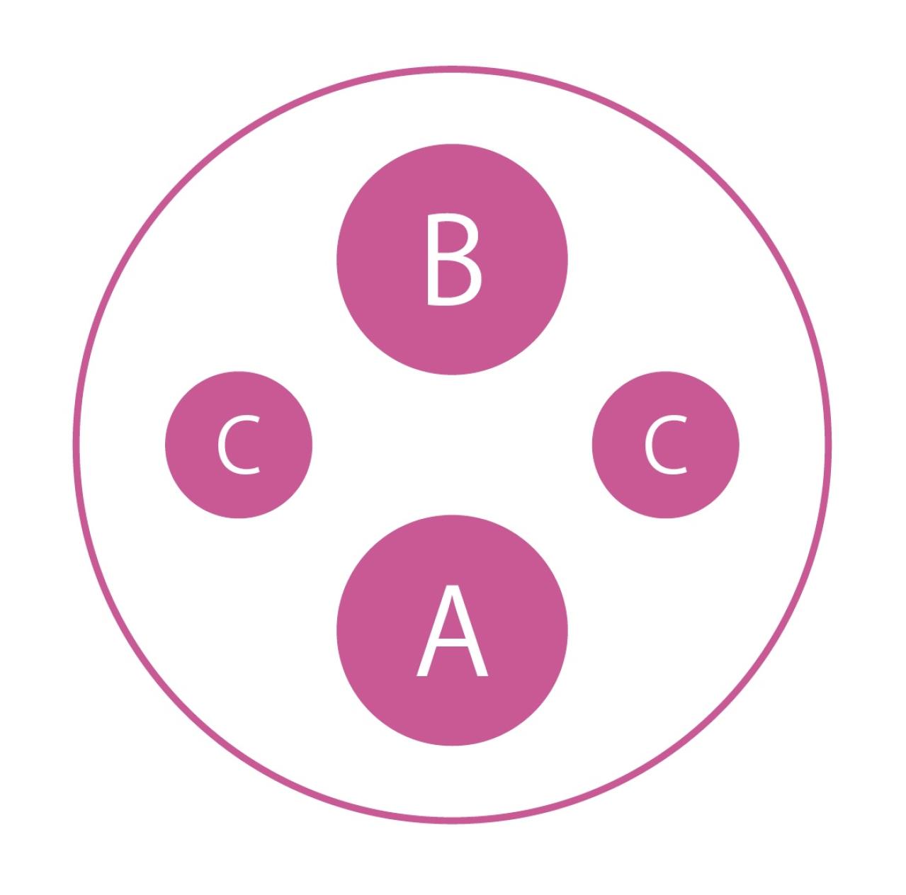 【ガーデニング】愛されカラーでロマンチックな「ピンク＆ブルーの花の寄せ植え」春の花が成長する姿も楽しい！（画像5）