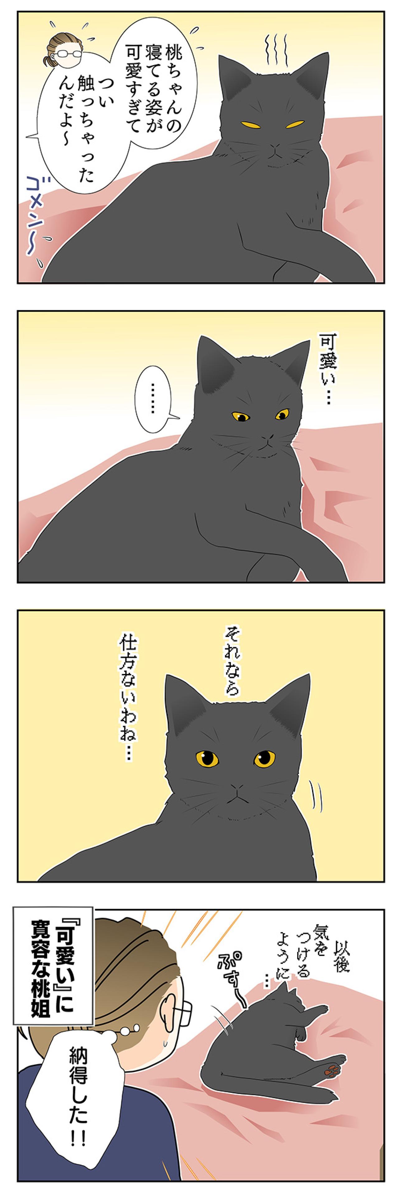 【老猫マンガ】猫、理由に納得する…18歳の元保護猫・桃姐［＃8］（画像3）