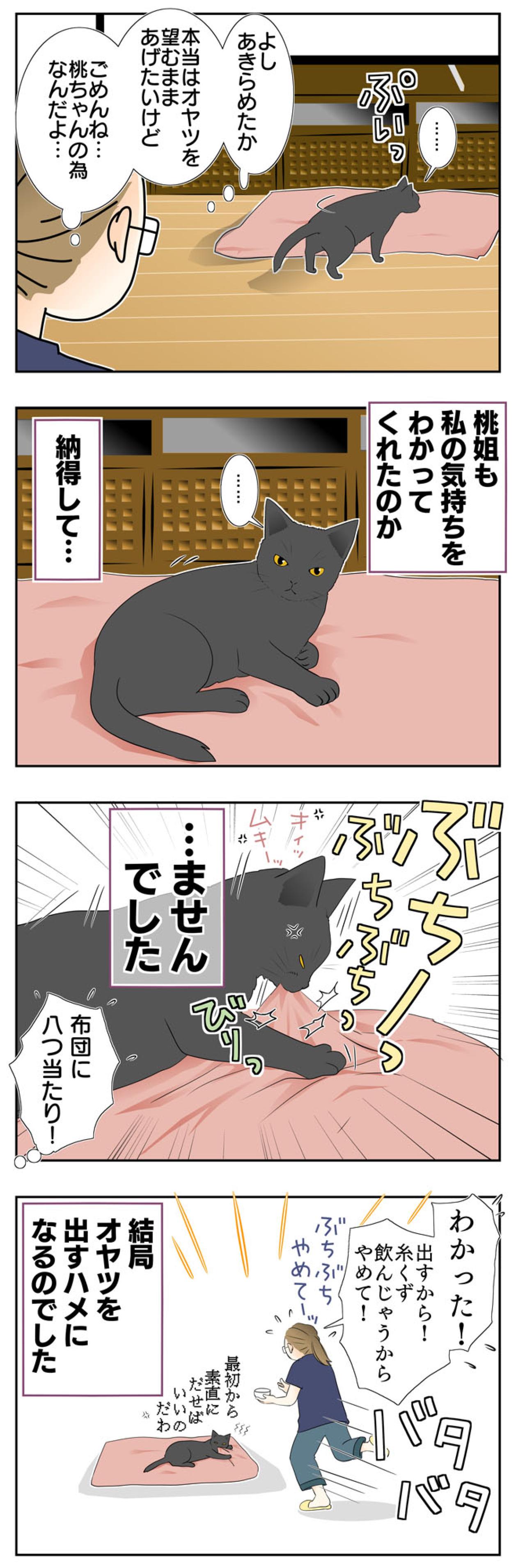 【老猫マンガ】八つ当たりする老猫…18歳の元保護猫・桃姐［＃9］（画像3）