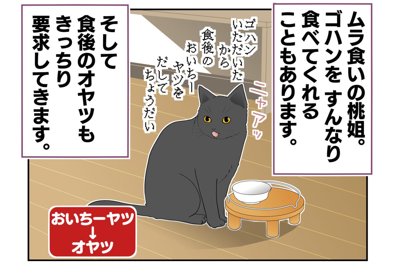 【老猫マンガ】八つ当たりする老猫…18歳の元保護猫・桃姐［＃9］