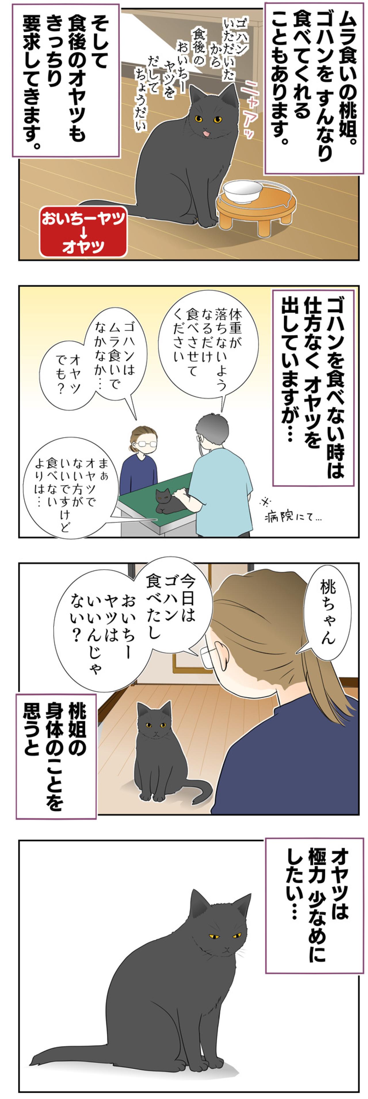 【老猫マンガ】八つ当たりする老猫…18歳の元保護猫・桃姐［＃9］（画像2）