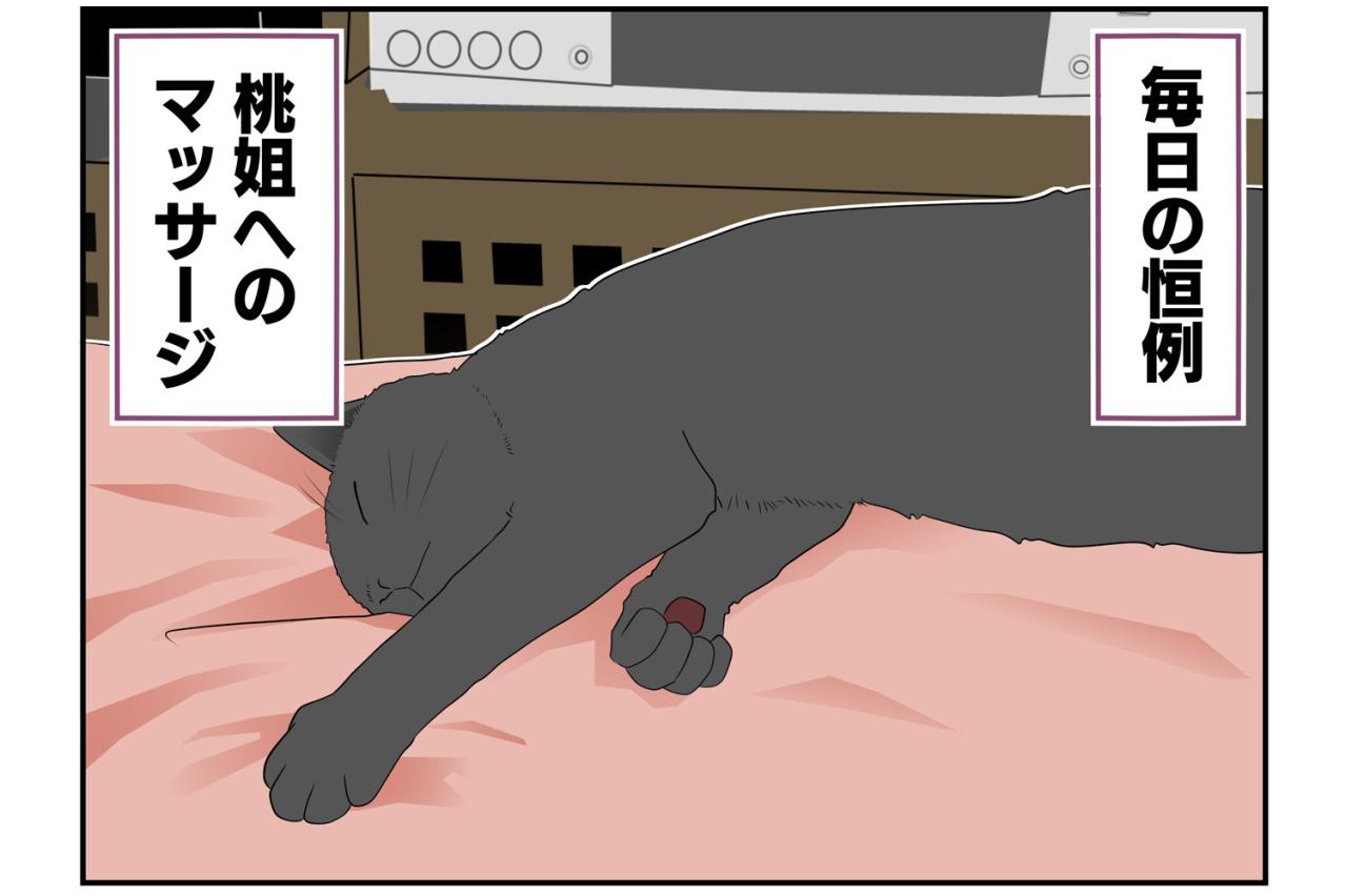 【老猫マンガ】老猫、祝福を授ける!? 18歳の元保護猫・桃姐［＃10］