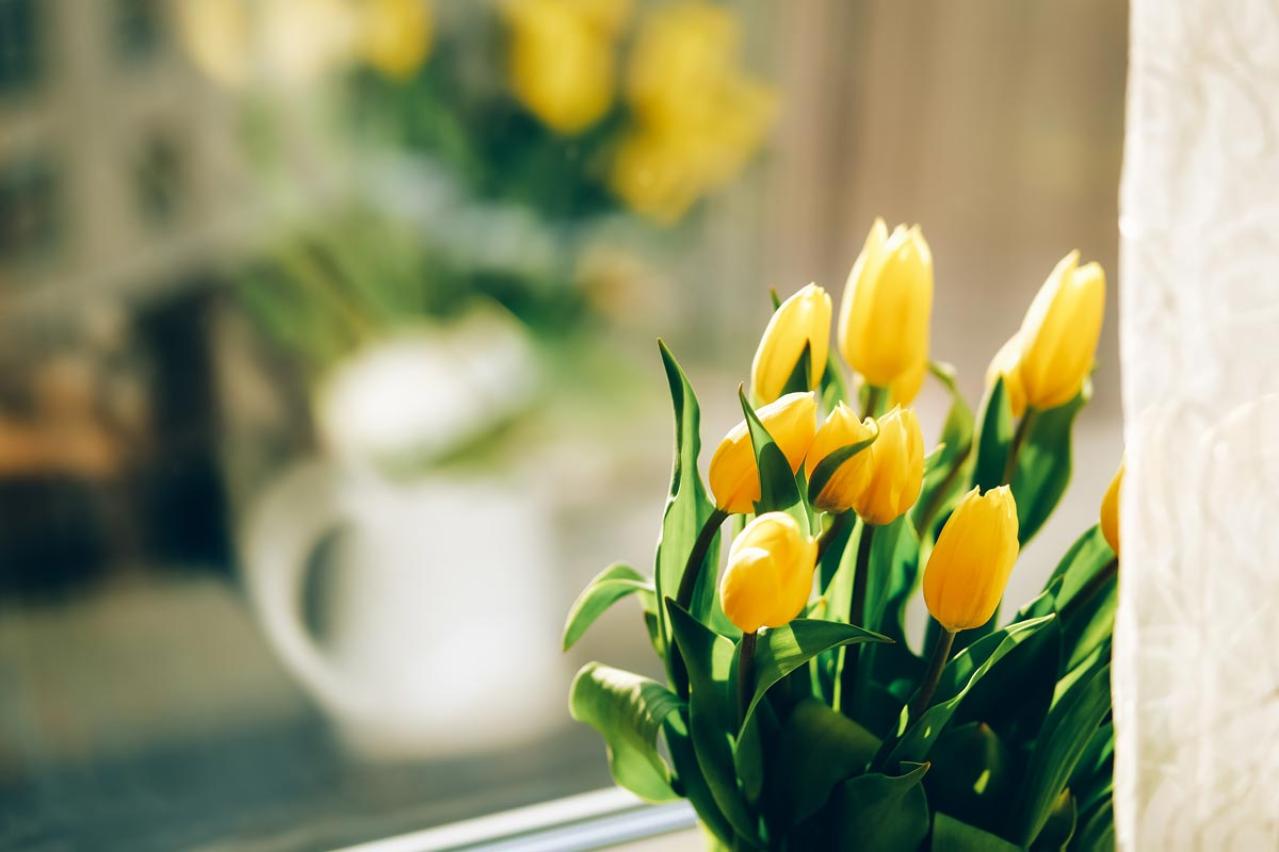 61歳【はじめてのひとり暮らしの生活費】中道あんさん流　