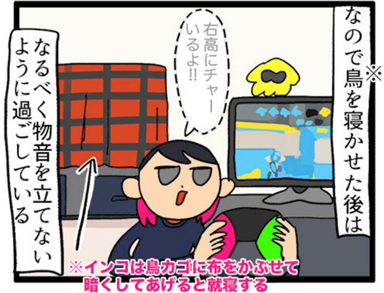 【鳥マンガ＃9】他のインコの動画を見てると、家の鳥にめちゃ怒られる！？（画像4）