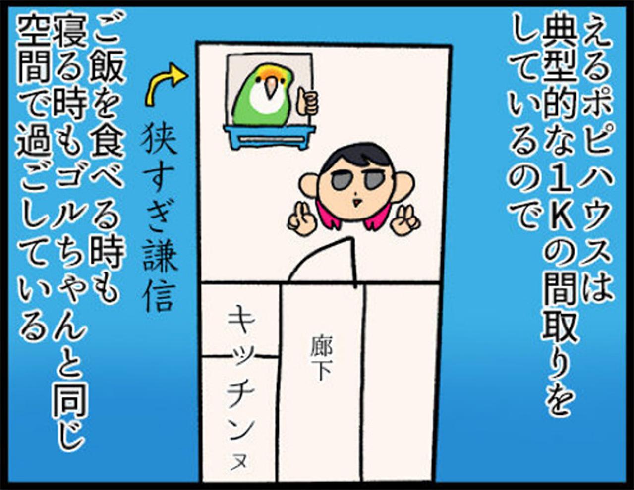 【鳥マンガ＃9】他のインコの動画を見てると、家の鳥にめちゃ怒られる！？（画像3）