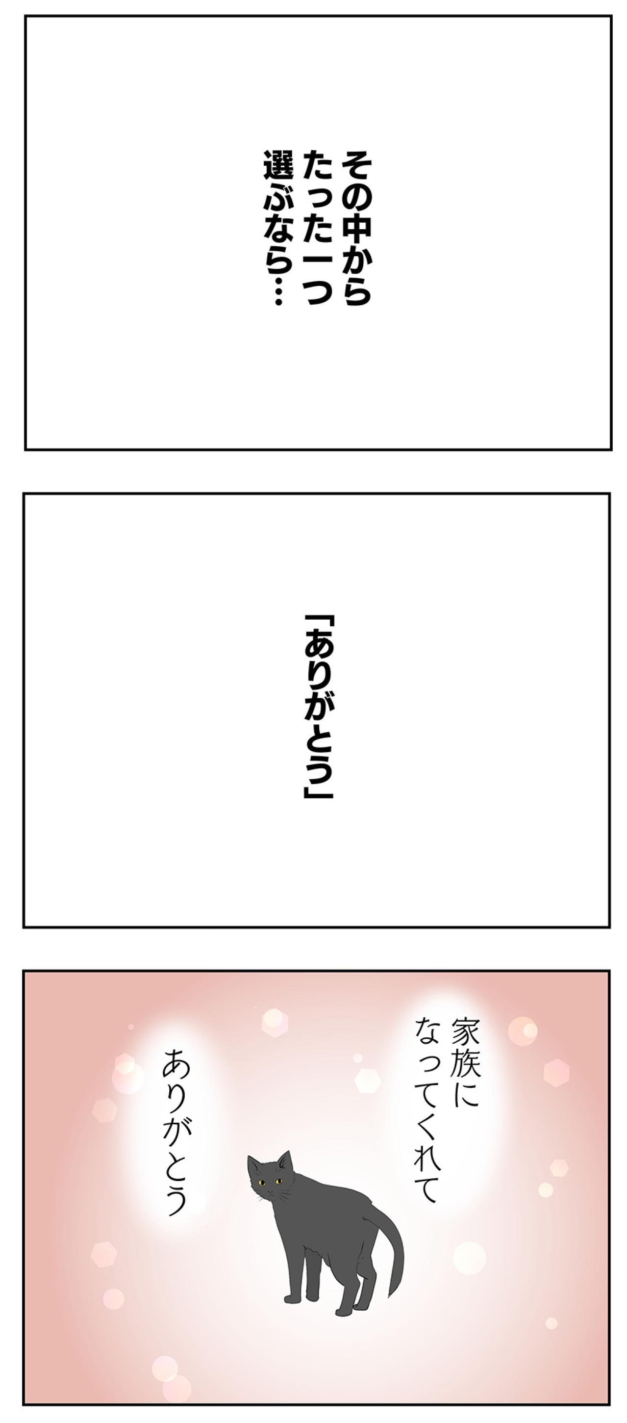 【マンガ・老猫日誌 ＃11】老猫、18歳になる。元保護猫・桃姐（画像4）