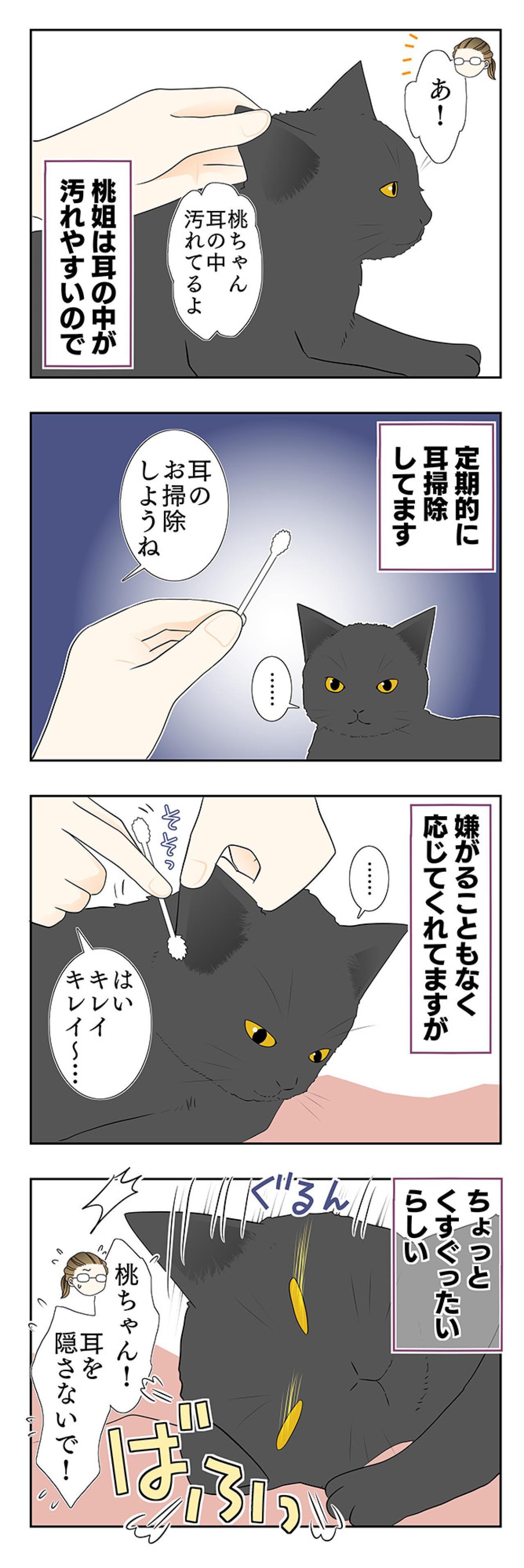 【マンガ・老猫日誌 ＃12】19歳の元保護猫・桃姐、耳掃除をする（画像2）
