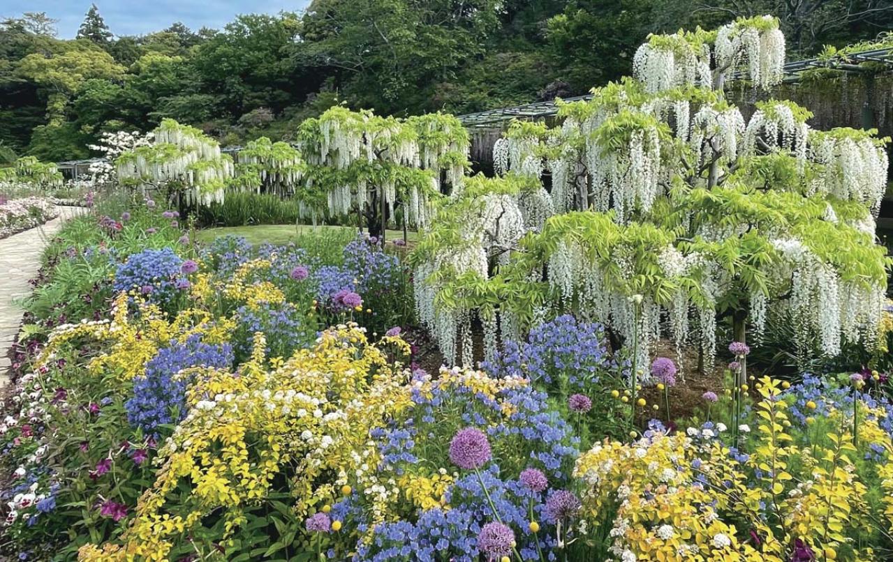 一面に広がるカラフルな花を楽しむ【チューリップの絶景】2選。花旅のプロおすすめ（画像8）