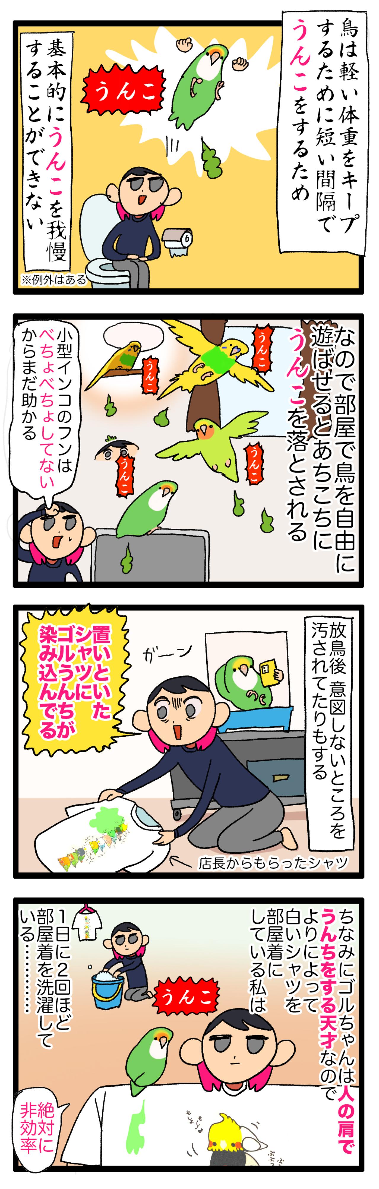 【鳥マンガ＃11】コザクラインコのう○ち事情。やっとおもちゃで遊んでくれた！そのワケは？（画像4）