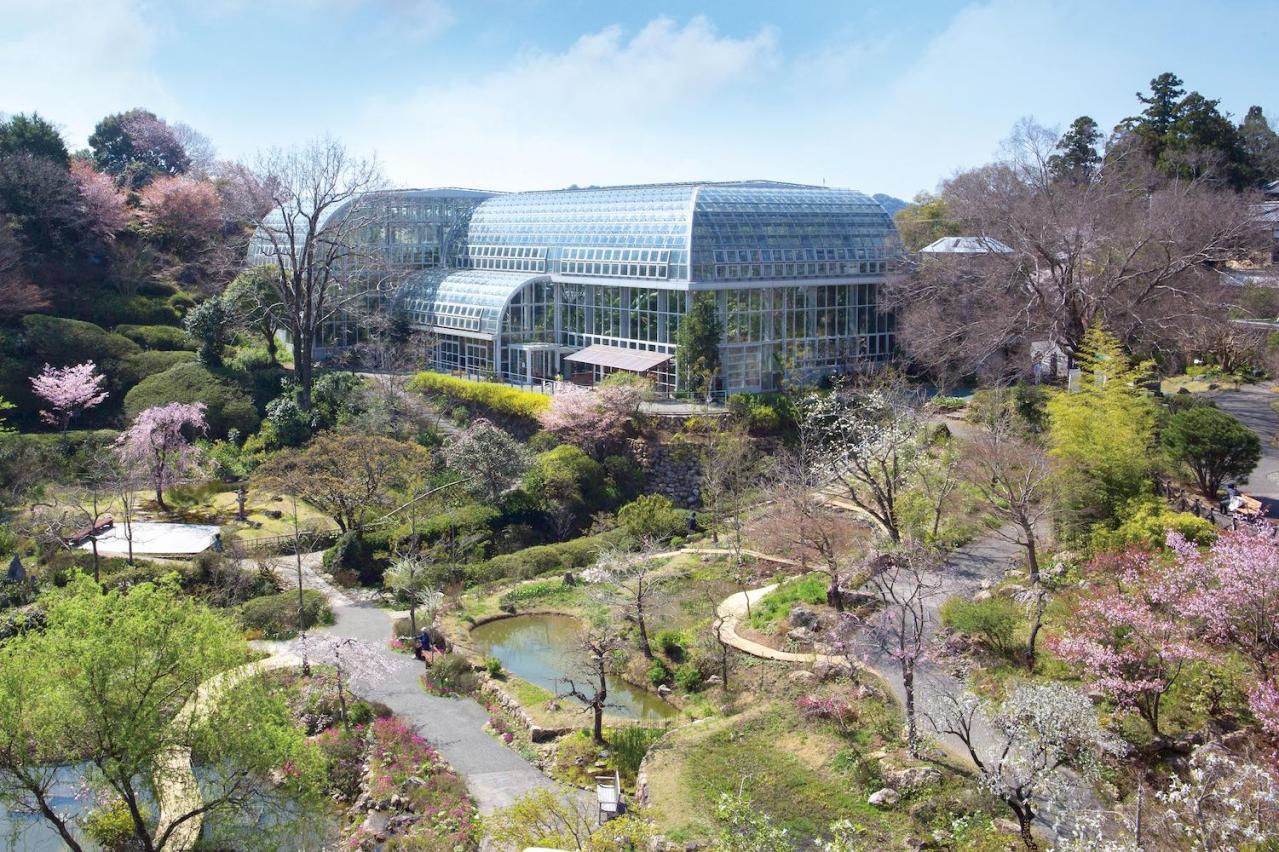 春から長く花を観賞できる【高知のガーデン】2選。花旅のプロおすすめ