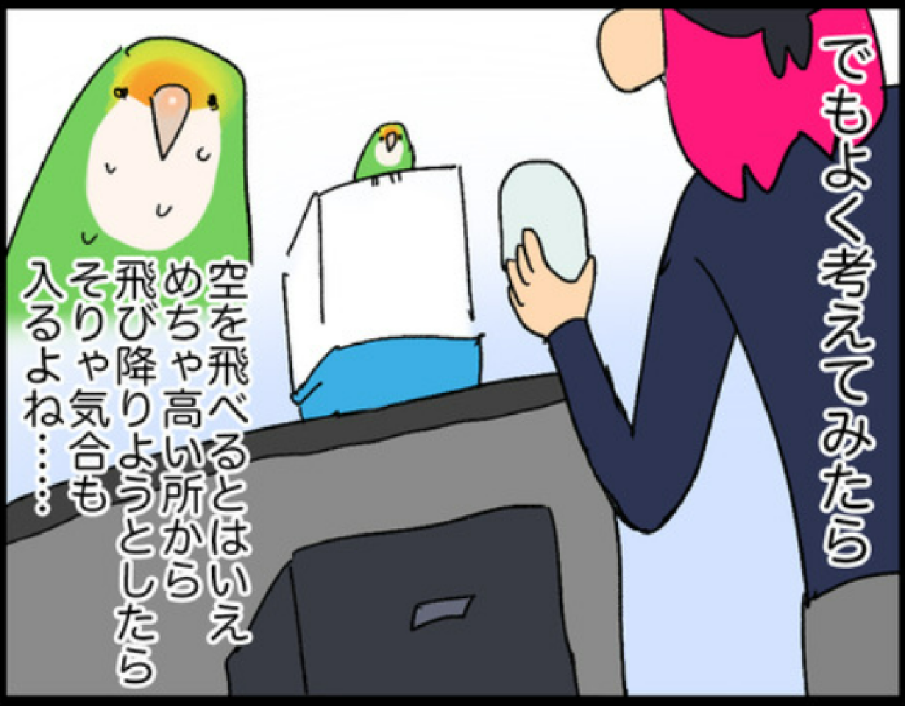 【鳥マンガ＃10】意外と怖がりなゴルちゃんを見た！ビビりなコザクラインコの姿2選