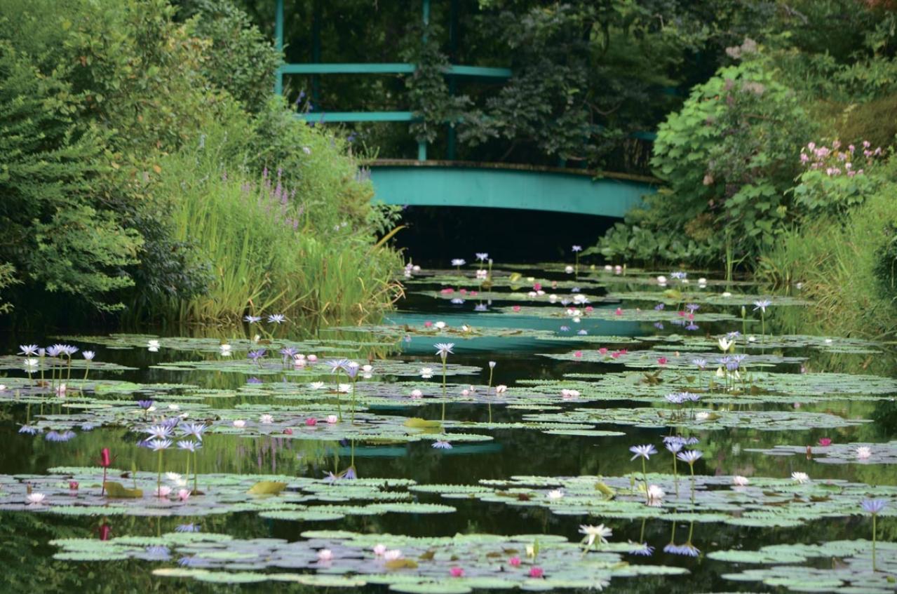 春から長く花を観賞できる【高知のガーデン】2選。花旅のプロおすすめ（画像3）