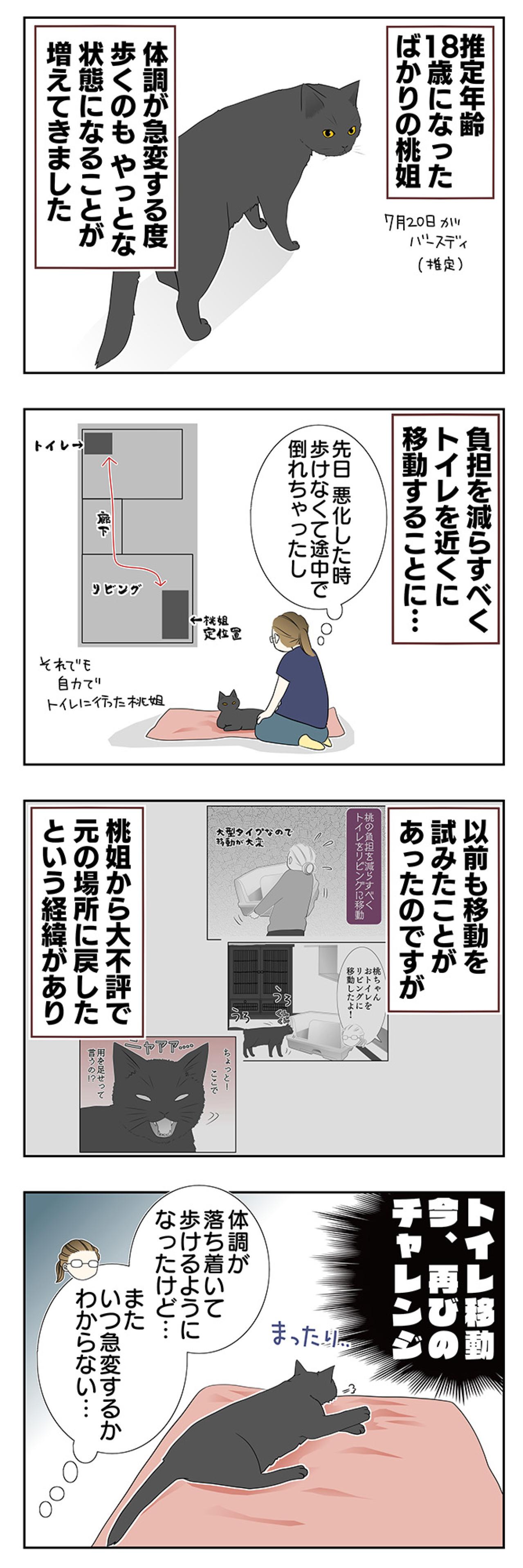 【老猫マンガ】老猫のトイレ事情…18歳の元保護猫・桃姐［＃13］（画像2）