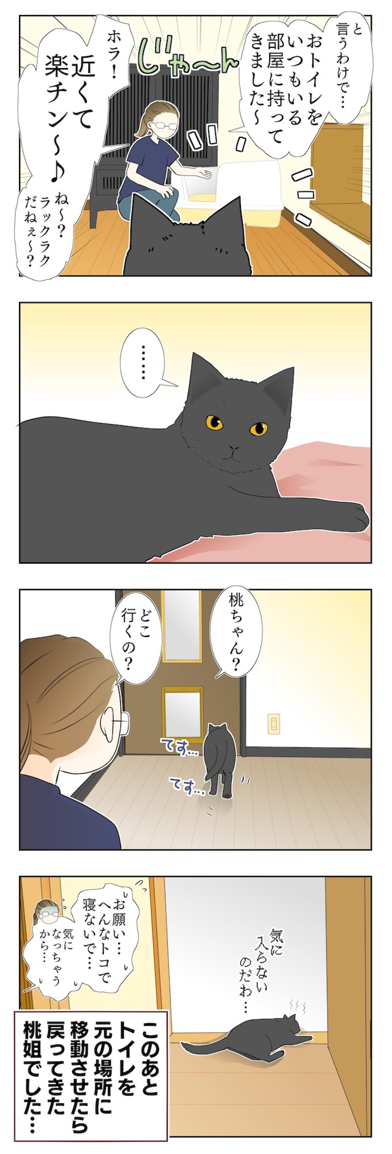 【老猫マンガ】老猫のトイレ事情…18歳の元保護猫・桃姐［＃13］（画像3）