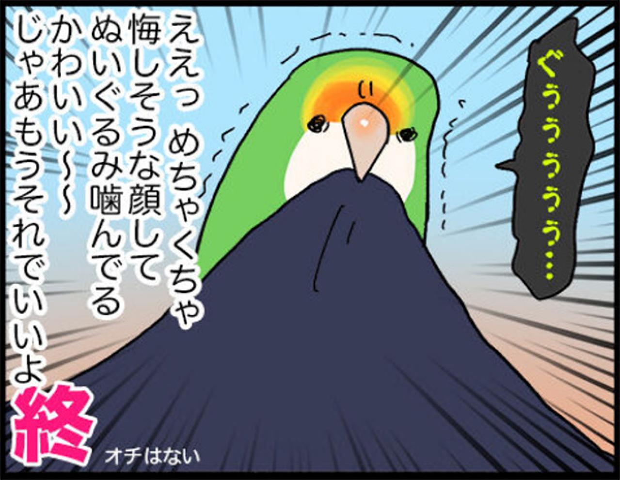 【鳥マンガ＃13】ぶつかったのはどっち？飼い主に反抗される女帝インコ（画像8）