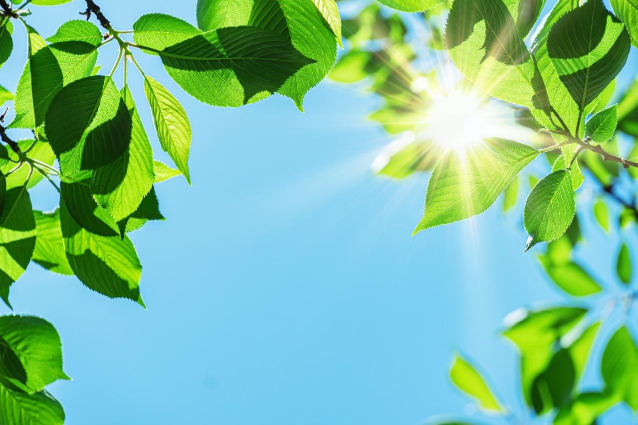 「退職後、夫婦で家で過ごす時間が苦痛。夫の身勝手な振る舞いにいら立ちます…」家族関係のストレスを減らすには？ 人気心理カウンセラー・根本裕幸さんが回答（画像5）