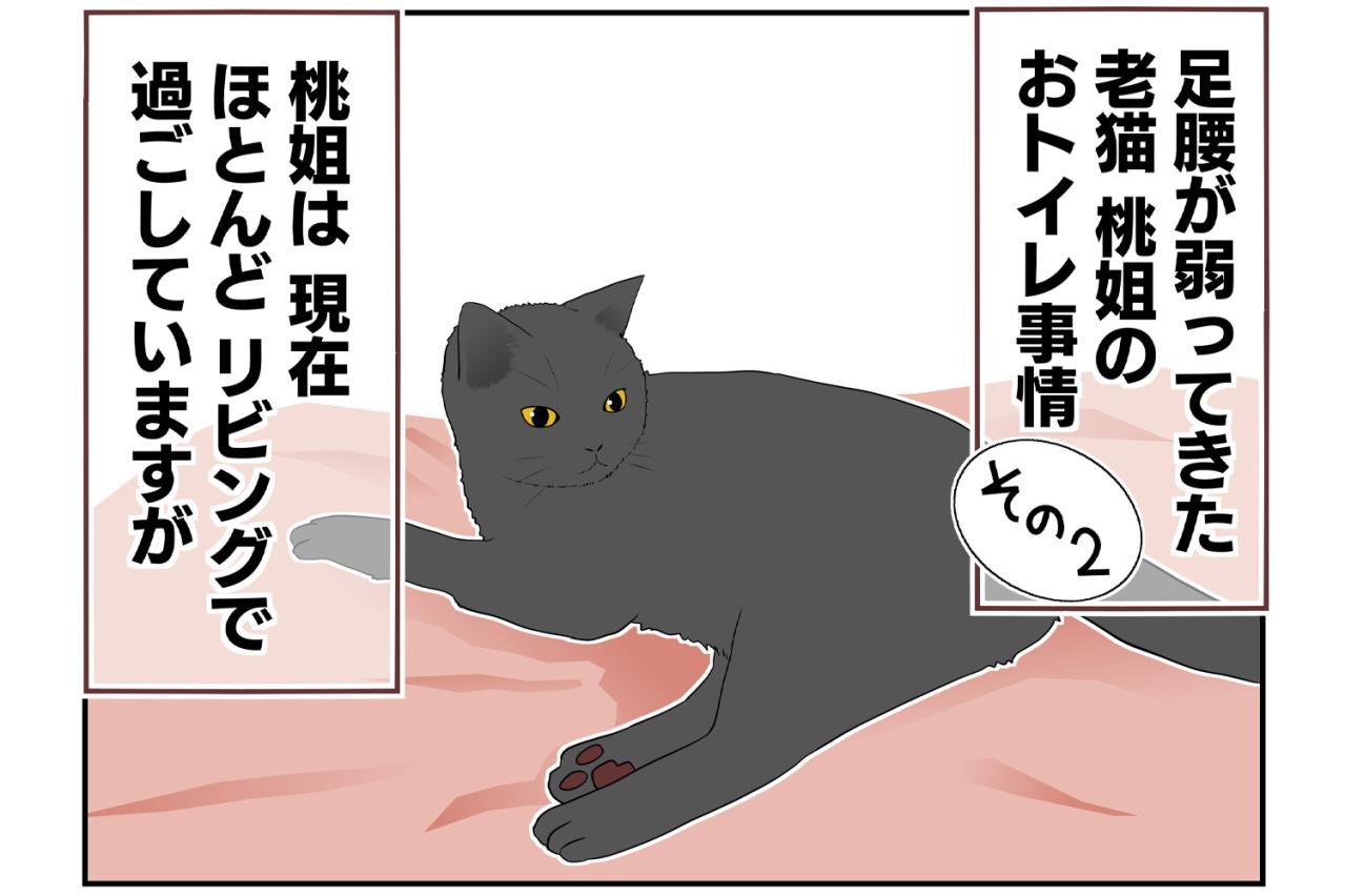 【老猫マンガ】老猫のトイレ事情その2…18歳の元保護猫・桃姐［＃14］