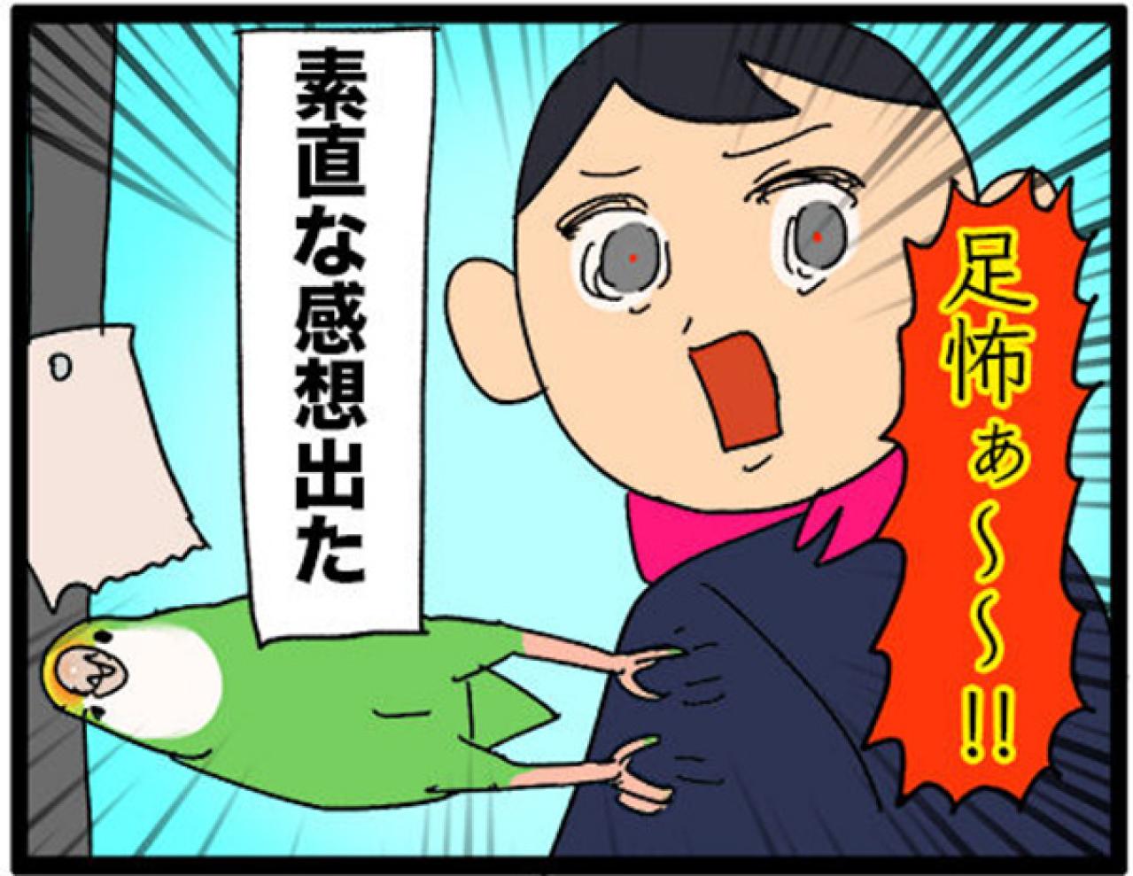 【鳥マンガ＃14】床に対して平行になるインコ／お返事ができる賢いゴルちゃん！（画像9）