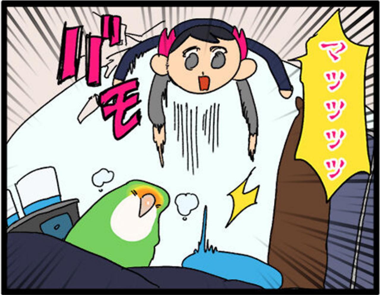 【鳥マンガ＃16】女帝インコが甘えてきた！？ かわいいけど厄介な鳥の抜けた羽問題（画像4）