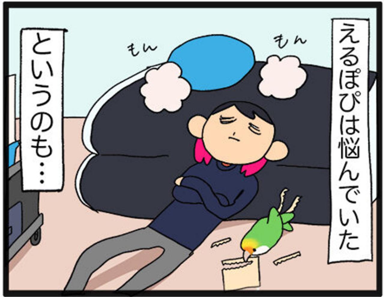 【鳥マンガ＃15】新しいインコをお迎えしたい飼い主／意外にどんくさい鳥、ゴル（画像3）