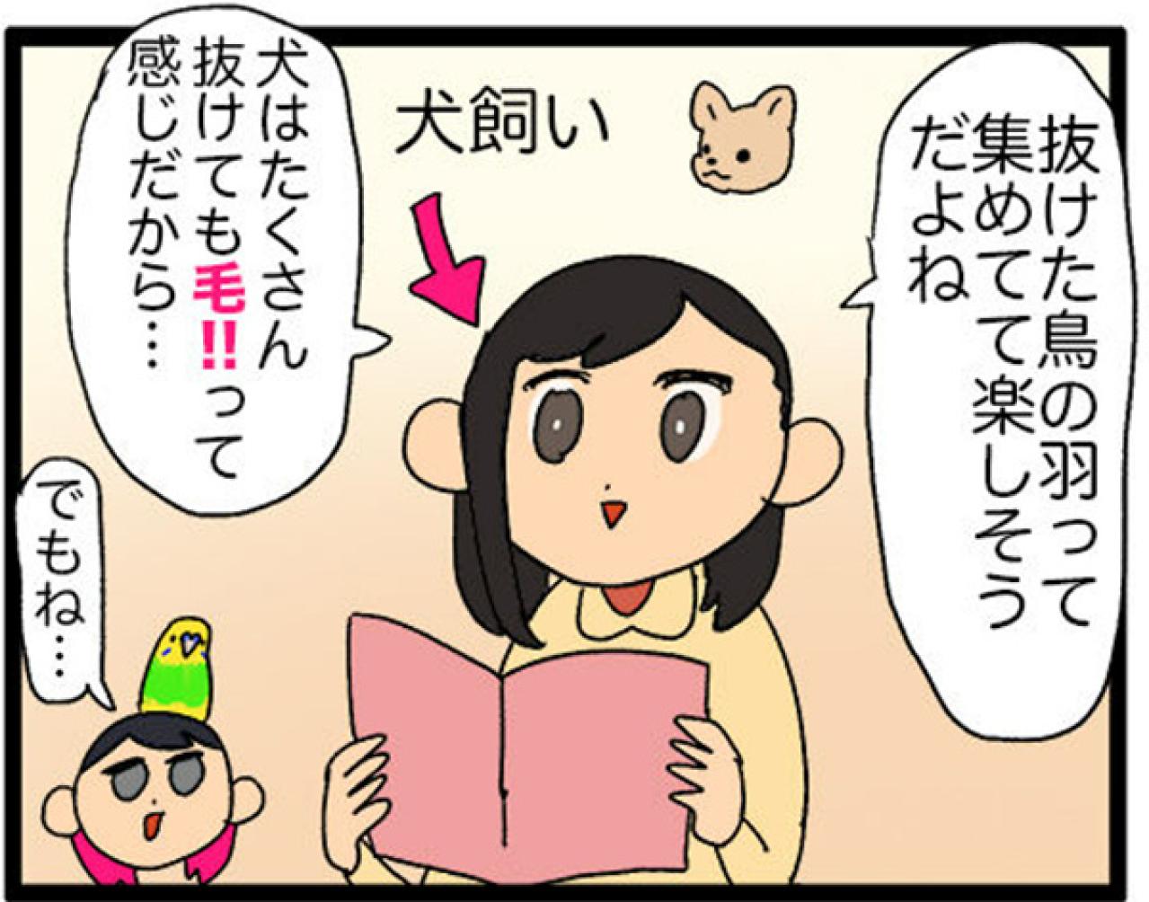 【鳥マンガ＃16】女帝インコが甘えてきた！？ かわいいけど厄介な鳥の抜けた羽問題（画像9）
