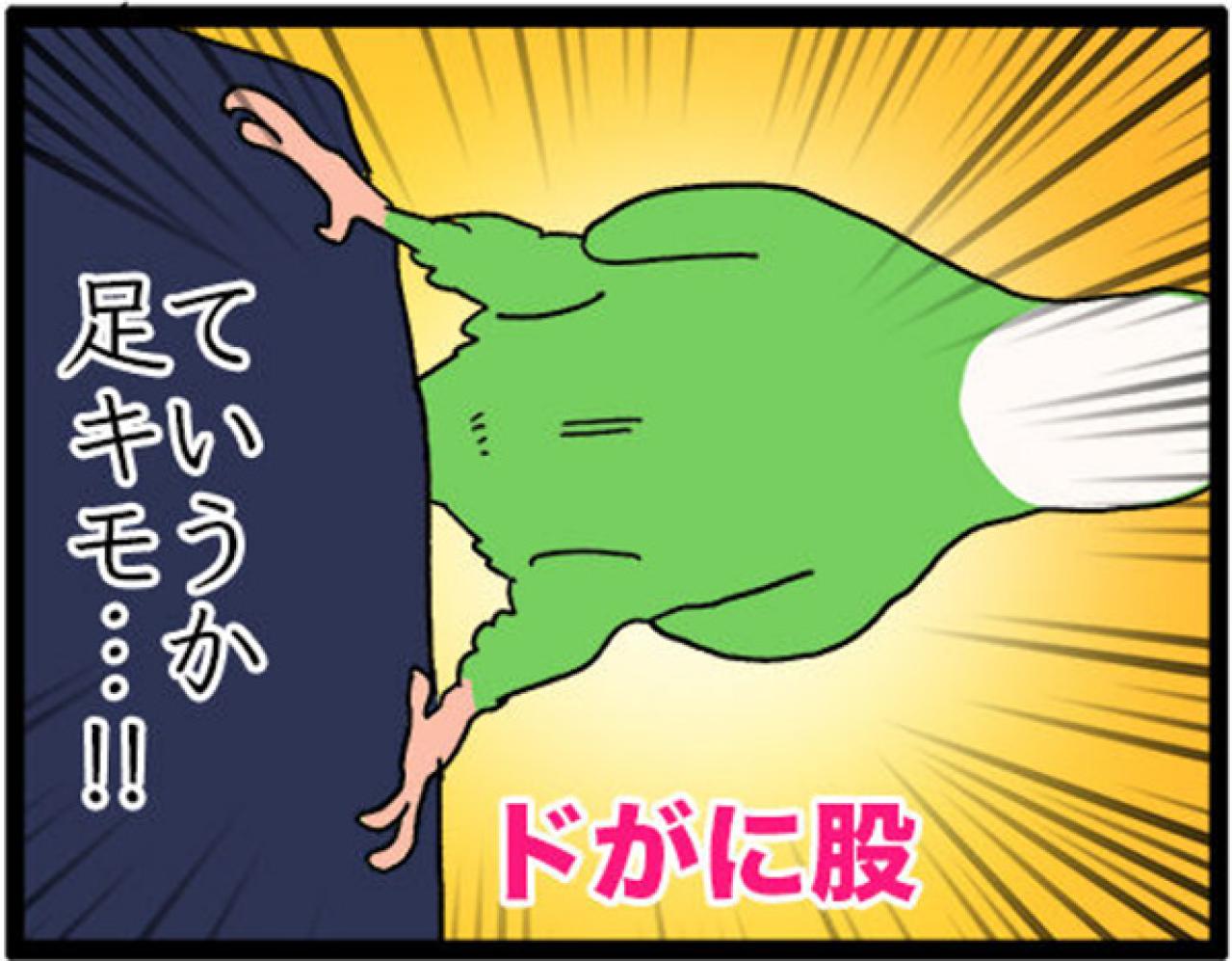 【鳥マンガ＃14】床に対して平行になるインコ／お返事ができる賢いゴルちゃん！（画像8）