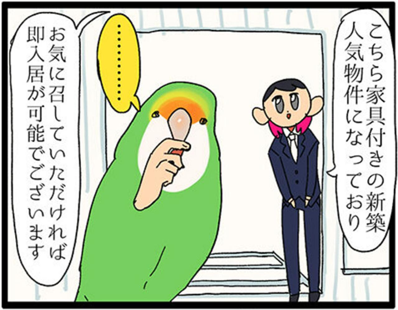【鳥マンガ＃17】インコが新居に不満な理由／放鳥がもたらした悲劇とは？（画像5）