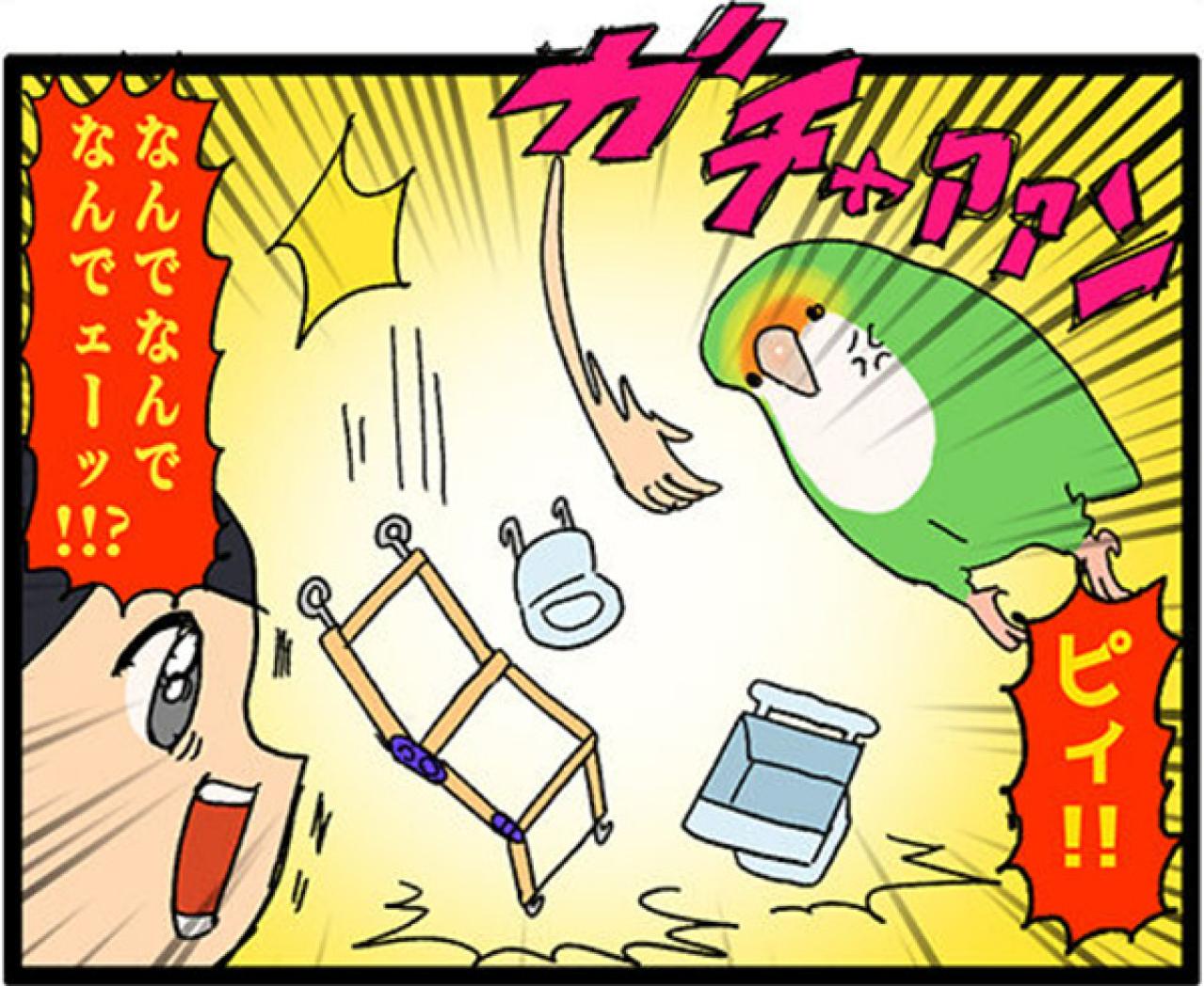 【鳥マンガ＃17】インコが新居に不満な理由／放鳥がもたらした悲劇とは？（画像6）