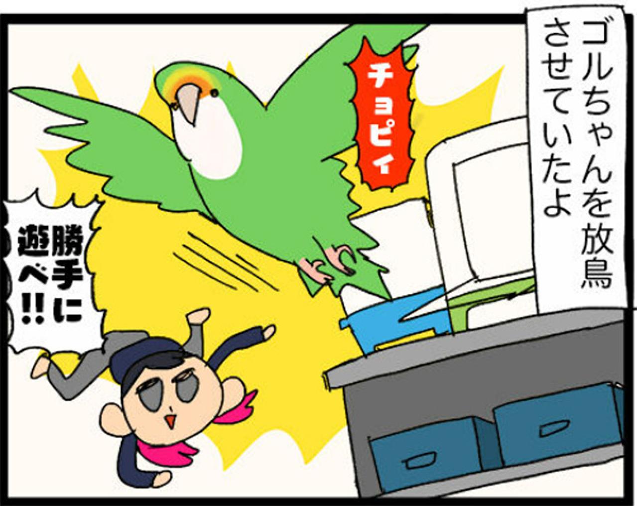 【鳥マンガ＃17】インコが新居に不満な理由／放鳥がもたらした悲劇とは？（画像8）