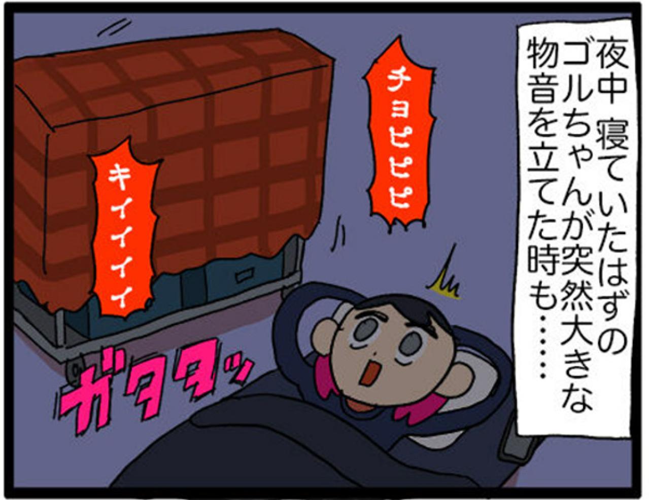 【鳥マンガ＃14】床に対して平行になるインコ／お返事ができる賢いゴルちゃん！（画像12）