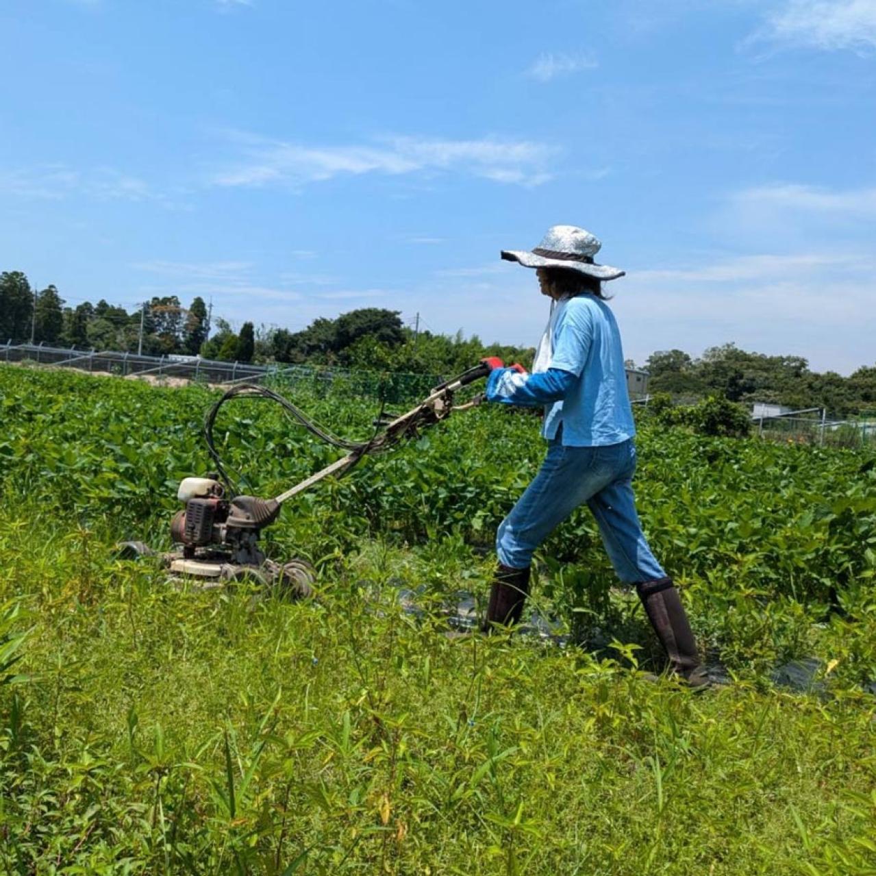 普通のパート主婦がなぜ！？50代後半で野菜の委託販売を始めるまでの道のりとは？【50代の仕事始め＃2前編】（画像3）