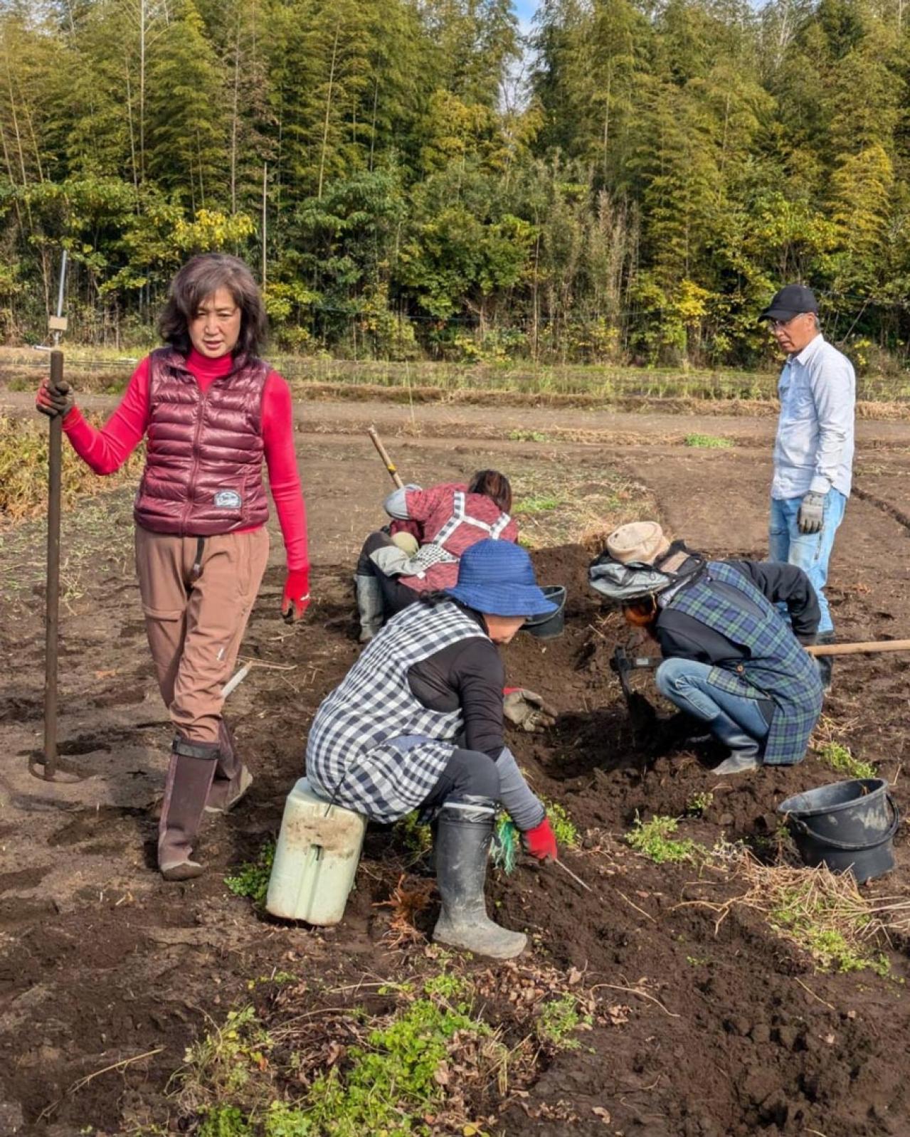 50代半ばでゼロから農業を始めた元専業主婦。その仕事選びの極意がすご過ぎた！【50代の仕事始め＃2後編】（画像4）