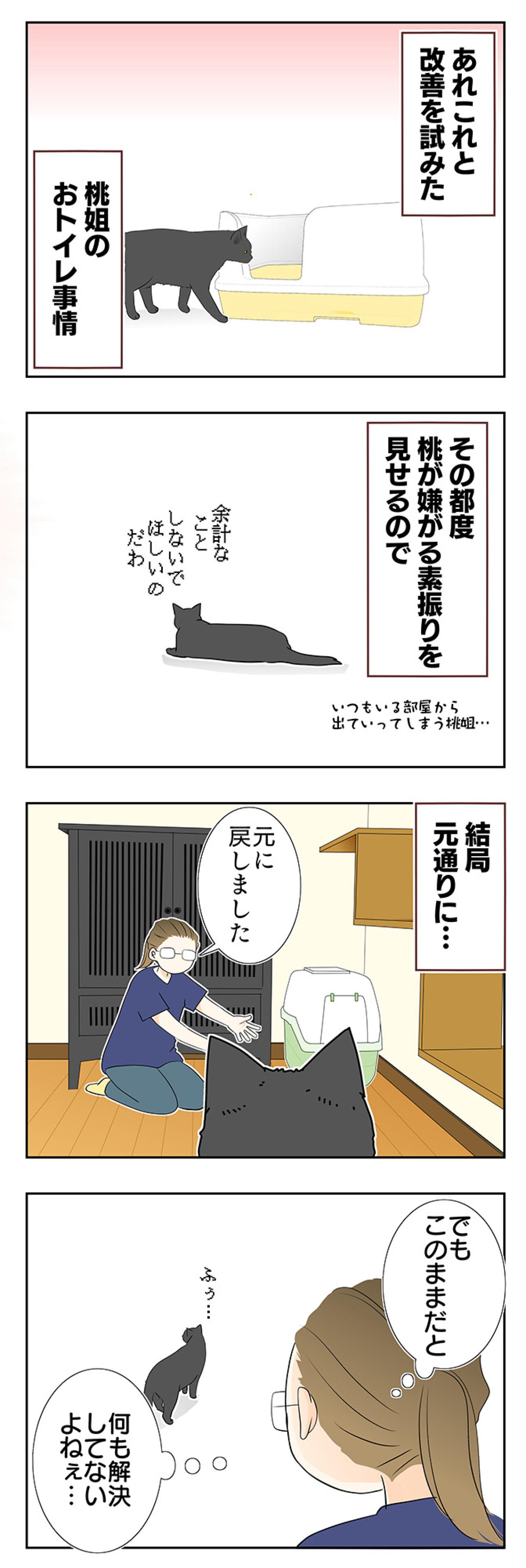 【マンガ・老猫日誌 ＃15】老猫のトイレ事情その3…19歳の元保護猫・桃姐（画像2）