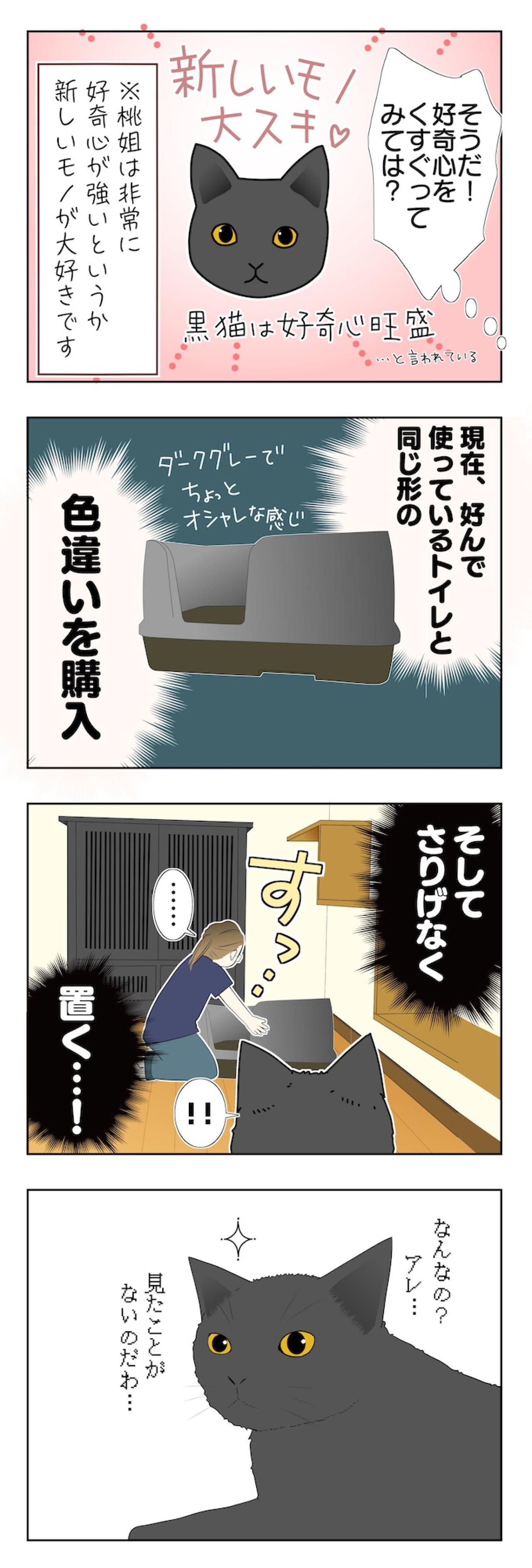 【マンガ・老猫日誌 ＃15】老猫のトイレ事情その3…19歳の元保護猫・桃姐（画像3）