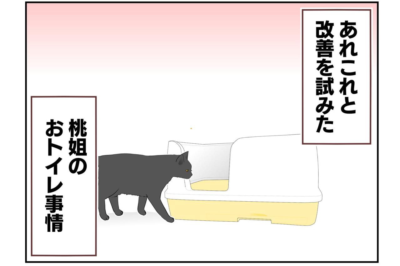 【老猫マンガ】老猫のトイレ事情その3…18歳の元保護猫・桃姐［＃15］